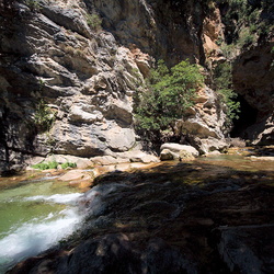 Arche de Ponadieu 2010